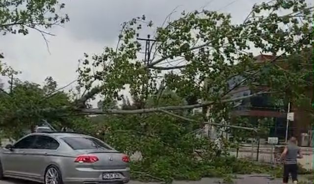 Bartın’da Şiddetli Fırtına; Ağaçlar devrildi, yollar kapandı