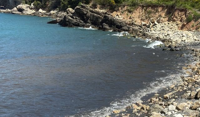 Amasra’da sahile bırakılan atıklar tepki çekti