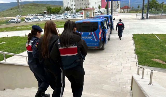 Sahte araç kiralama siteleriyle 160 milyon TL dolandırıcılık