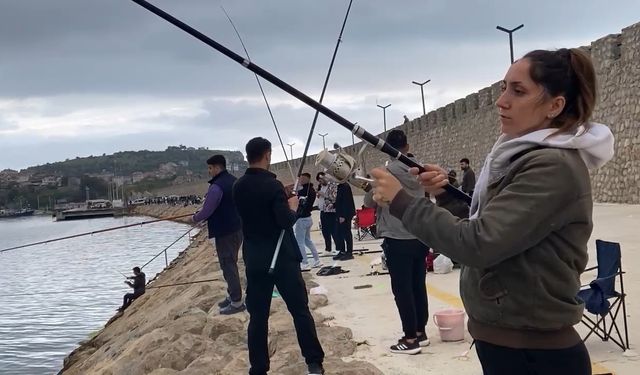 Amasra'da İstavrit Bereketi