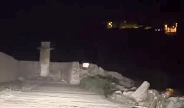 Dikkat ! Sevimli Tehlike Limanda