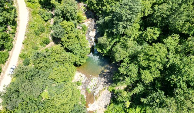 Doğa tutkunlarının gözdesi dron ile görüntülendi