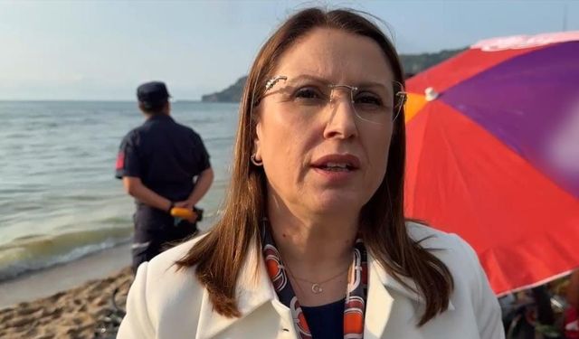 Arslan: Kimin sebep olduğunu belirlemek için çalışıyoruz