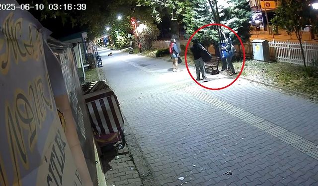 LED ışıkları söküp, 300 bin TL'lik zarar verdiler