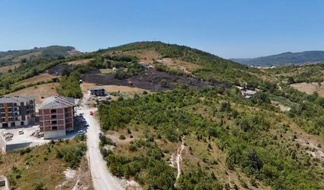 Aladağ tepesinde anız yangını ormana sıçradı