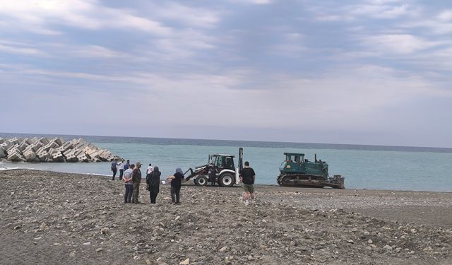 Güneşlenen kadın iş makinesinin altında kalarak can verdi