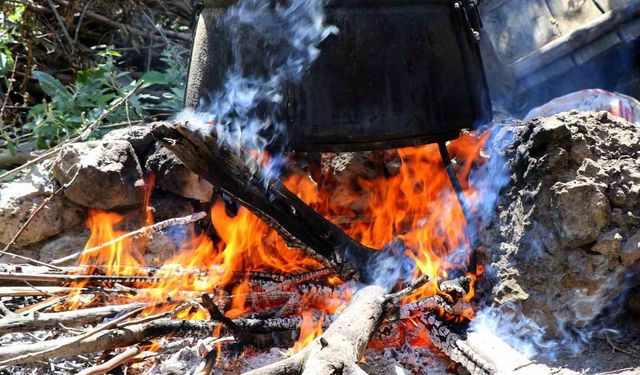 Pekmez, salça ve konserve için muhtardan izin alınacak