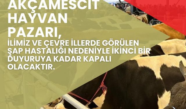 Akçamescit Hayvan Pazarı Yeniden Kapatıldı