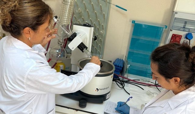 Bartın'da Alzheimer hastalığının tedavisinde yeni yöntemler