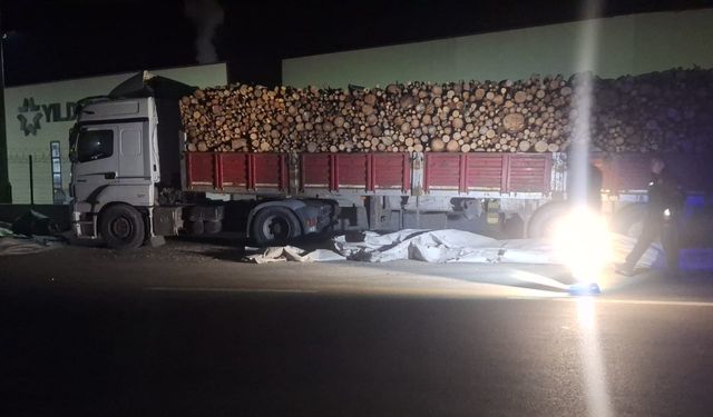 Brandayı toplarken otomobilin çarptığı TIR sürücüsü öldü