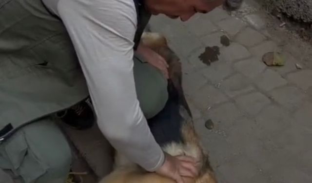 Öksüz'e 5 Dakika Kalp Masajı Yaptı Ama...
