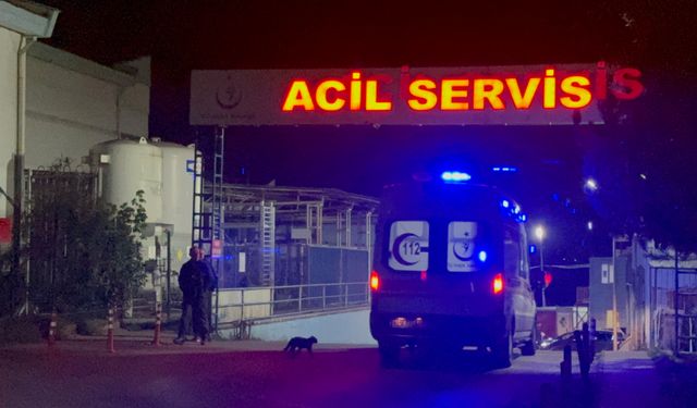 Bartın OSB’de Gaz Sızıntısı: 32 İşçi Hastaneye Kaldırıldı