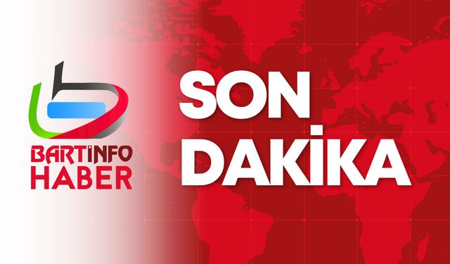 Bartın'da kestiği ağacın altında kalarak öldü