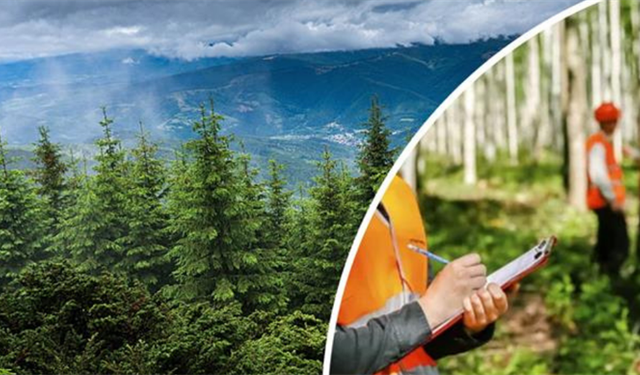 OGM, 496 Sözleşmeli Personel Alacak: Başvurular Başlıyor