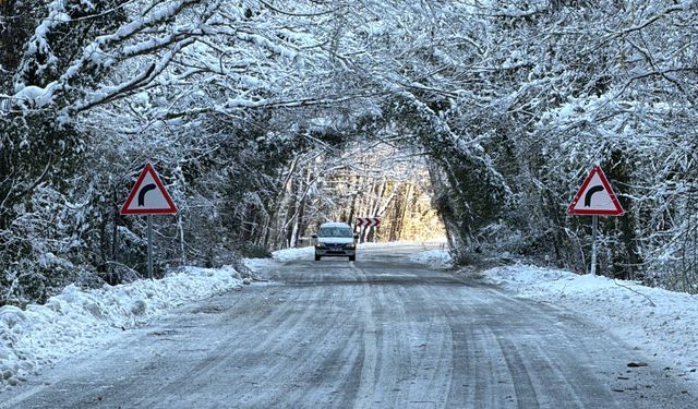 Ağaç Tünel Yol Kış Güzelliğiyle Büyülüyor