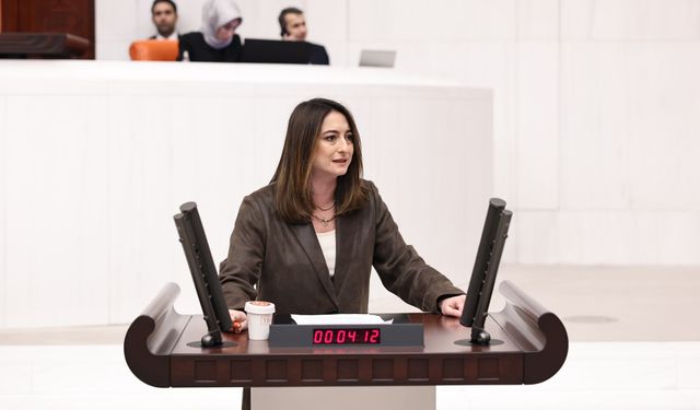 Bankoğlu: 2026 Bütçesi Halkın Taleplerini Karşılamıyor