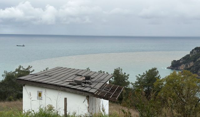 Denizin rengi kahverengiye döndü