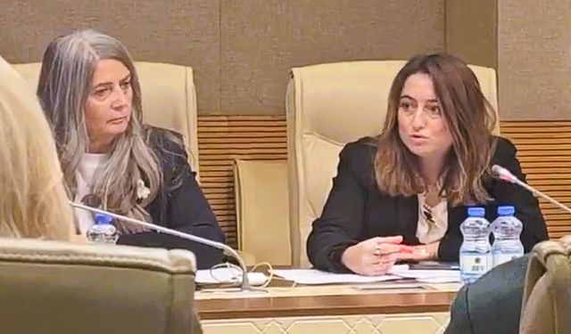 Bankoğlu, Suça sürüklenen çocukları araştırma komisyonunda