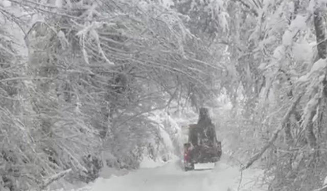 Bartın’da Çığ Tehlikesi Uyarısı