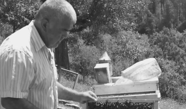 Kestiği ağacın altında kalan 65 yaşındaki adam kurtarılamadı