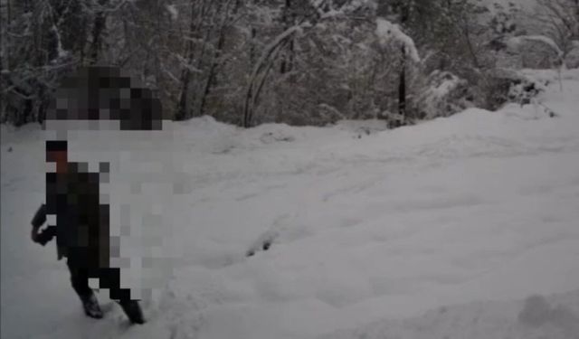 Kaçak avlanan şahıs fotokapanla yakalandı