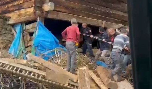 Ağıl Faciasında Sağım Yapan Kadın ve 51 Hayvanı Can Verdi