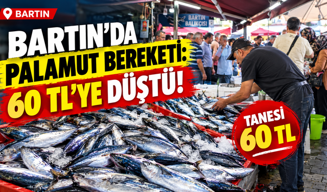 Bartın’da palamut bereketi: 60 TL’ye Düştü