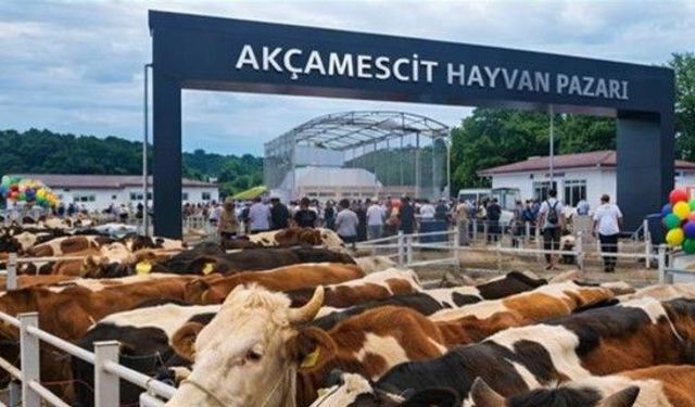 Akçamescit Hayvan Pazarında Beklenen Tarih Açıklandı