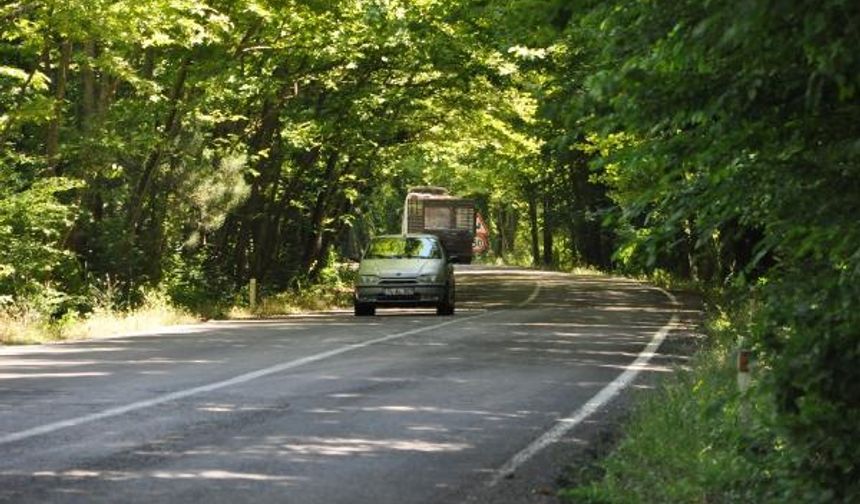 Karabük’ün Safranbolu ilçesinden Bartın’ın Amasra ilçesine gelen turistlerin kullandığı Bartın-Karabük yolunda yaz ayı ile birlikte eşsiz manzaralar ortaya çıkıyor.