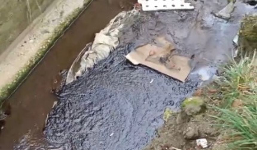 Amasra ilçesindeki Horhor Deresi&#039;nde renk değişimi ve kötü koku fark edenler, ihbarda bulundu. Bölgeye gelen Tarım ve Orman İlçe Müdürlüğü ekipleri, derede inceleme yapıp, sudan numune aldı