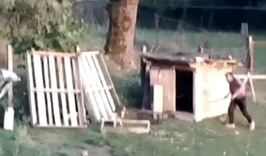 BARTIN&#039;da H.Ş., kümesindeki tavuklarının yumurtalarını yediğini iddia ettiği komşusunun köpeğini, sopa ile dövdü.