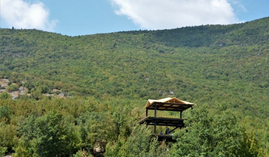 Küre Dağları Milli Parkın Bartın Bölümüne İlk Kule Seyir Terası Yapım İşi Tamamlanmak Üzere.