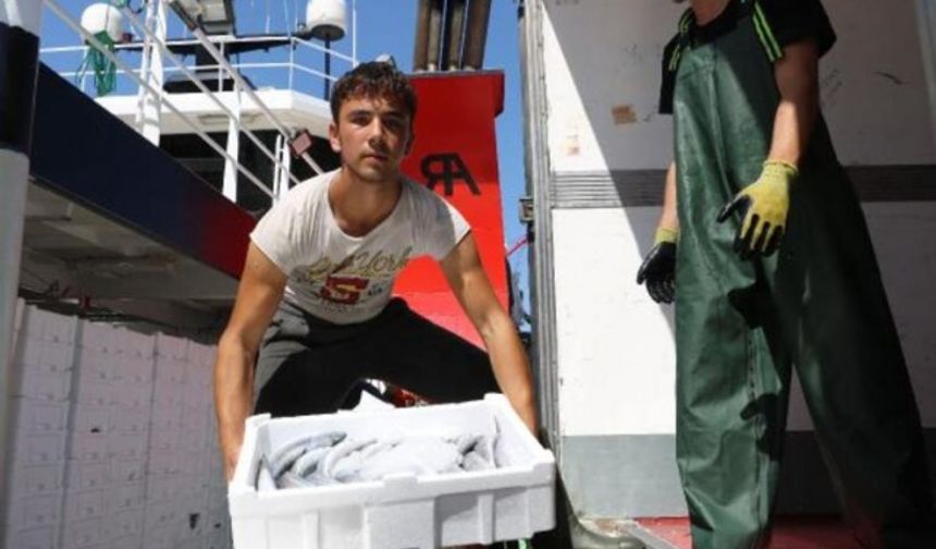 Batı Karadeniz açıklarında yaşanan balık bolluğu, Karadeniz&#039;de avlanan birçok balıkçı teknesini bölgeye çekti. Bartın&#039;da bazı balıkçılar 10 tane palamutu 100 TL&#039;ye satıyor.