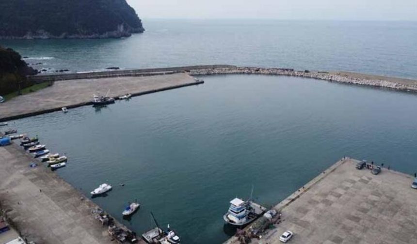 Ulaştırma ve Altyapı Bakanlığı tarafından Amasra ilçesi Tarlaağzı köyünde yapılan liman, 2005 yılında tamamlandı.