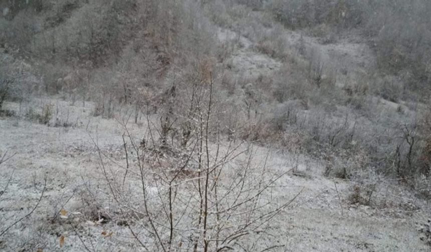 Bartın&#039;ın Ulus İlçesine bağlı Şirinler köyü Danagölü mahallesine mevsimin ilk karı düştü