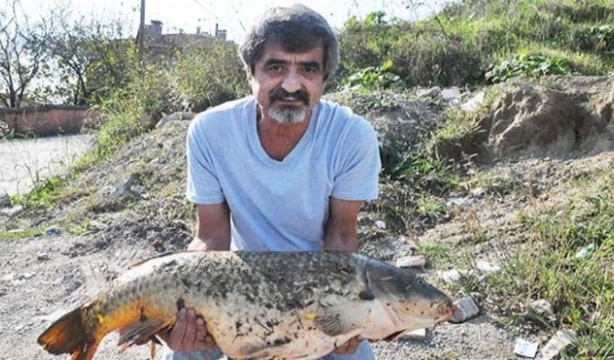 BARTIN&#039;da amatör balıkçı Kemal Kozan (54), ırmakta olta ile 16 kilo 300 gram ağırlığında sazan yakaladı.