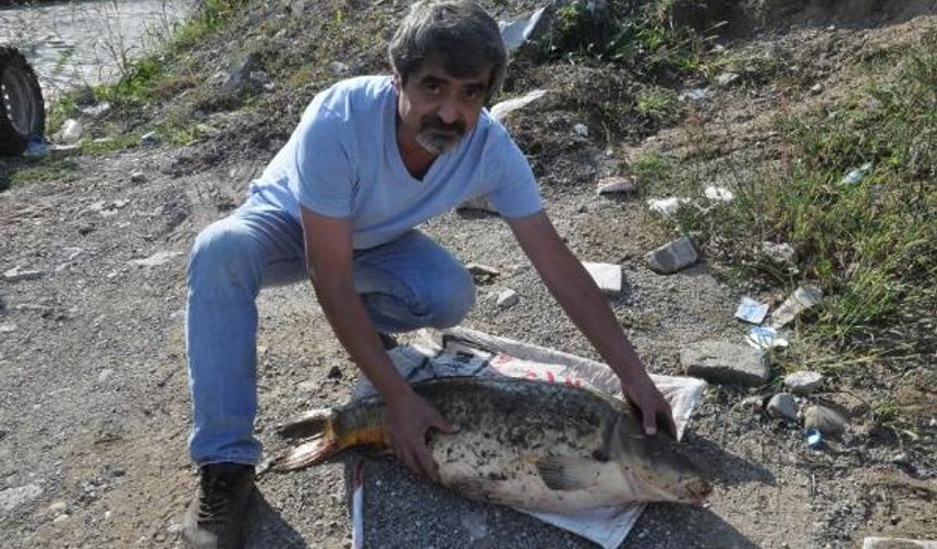 BARTIN&#039;da amatör balıkçı Kemal Kozan (54), ırmakta olta ile 16 kilo 300 gram ağırlığında sazan yakaladı.