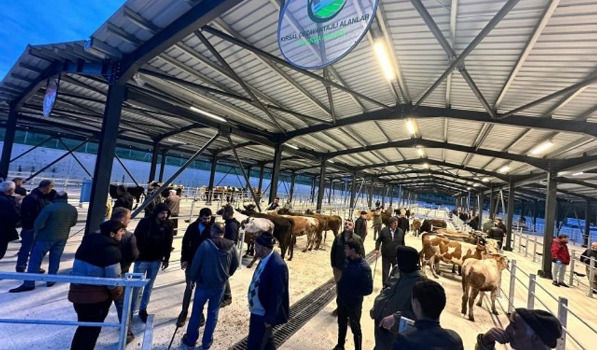 Bölgemizin en büyük ve en modern hayvan pazarı olma özelliğine sahip, 500 büyükbaş ve 300 küçükbaş hayvanı aynı anda barındıracak kapasitesi bulunan Kapalı Hayvan Pazarı; hizmet binası, kafeteryası, geniş ve modern yapısıyla vatandaşlarımızın her türlü ihtiyacını karşılayacak imkanları bulunuyor.