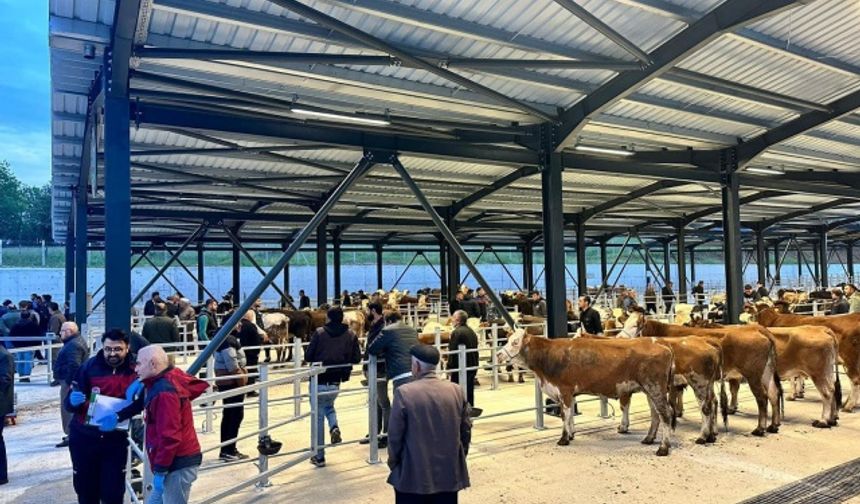 Bartın’da Kırsal Dezavantajlı Alanlar Kalkınma Projesi kapsamında yapılan ve işletmesi İl Özel İdaresi tarafından yürütülen Akçamescit Hayvan Pazarı bugün itibariyle vatandaşlarımıza hizmet vermeye başladı.