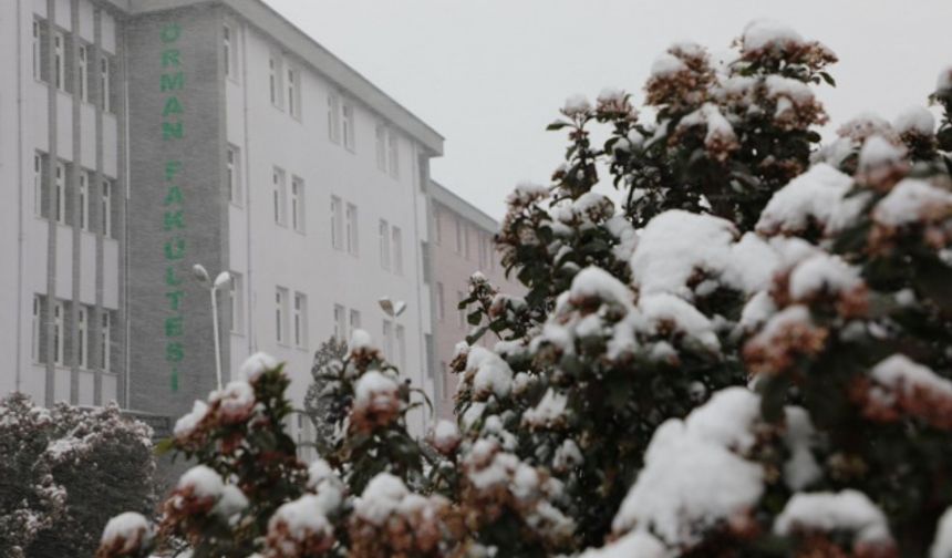 Bartın Üniversitesi Kutlubey kampüsünde  yağan kar yağışıyla birlikte muhteşem manzaralar oluştu