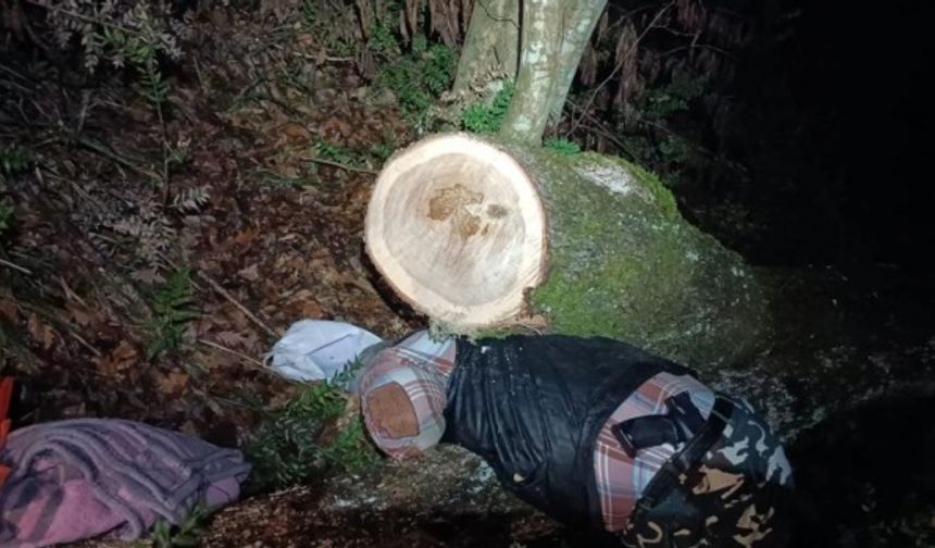 Sabah saatlerinde evden ormana odun toplamak için atıyla giden Saldıray Pamuk, akşam saatlerinde evine dönmedi. Aile üyelerinin telefonla aradığı Pamuk&#039;a ulaşamaması üzerine jandarmaya haber verildi.