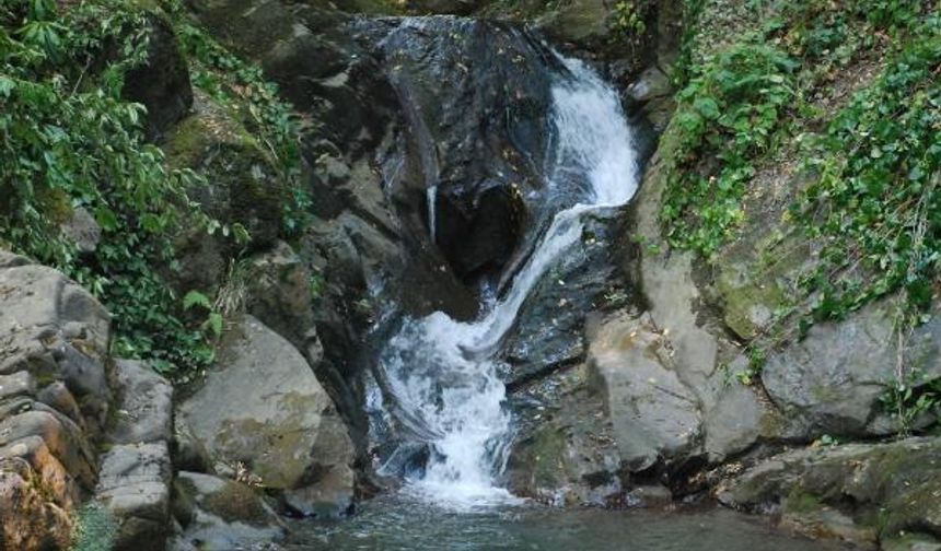 BARTIN’ın Hasankadı beldesinde, Kırlangıç Şelalesi’nde suyun akış şiddetiyle zamanla oluşan kalp şeklindeki kaya, görenleri şaşırtıyor.