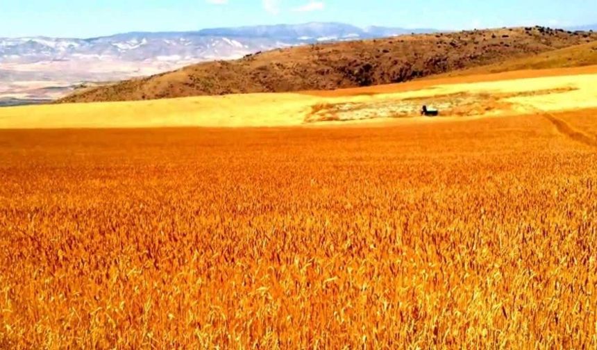 KAPADOKYA’NIN TERMAL MERKEZİ: KOZAKLI KAPLICALARI