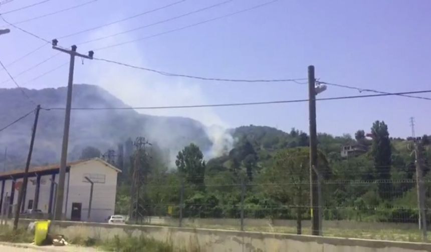 Bartın&#039;da çıkan orman yangını kısa sürede kontrol altına alındı.  Ayhan ACAR
