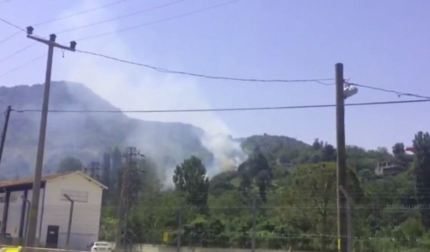 Bartın&#039;da çıkan orman yangını kısa sürede kontrol altına alındı.  Ayhan ACAR
