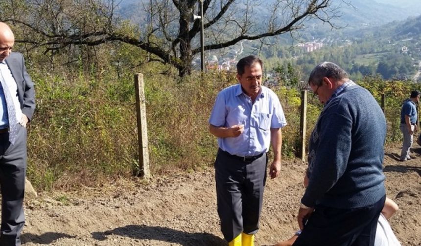 Bartın Tarım Gıda ve Hayvancılık İl Müdürlüğünce Salep üretimini için çalışmalara başlandı.