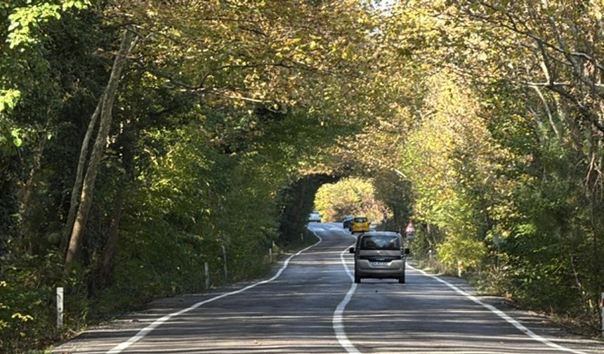 9 Kilometrelik yeşil tünelden muhteşem manzaralar