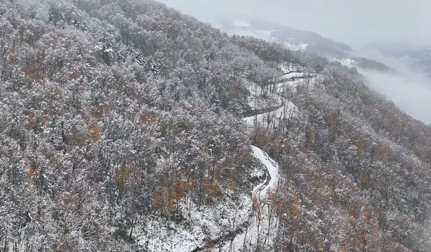 Bartın’da karla kaplı ormanlar