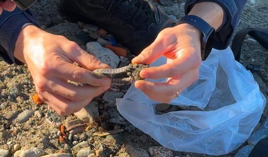 Amasra'da detektörle dalış yapan amatör dalgıca gözaltı