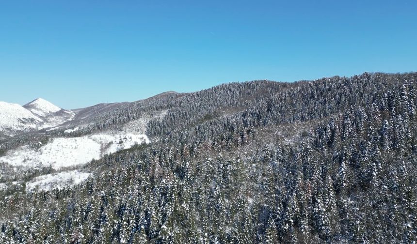 Korunan Alanlar Ağı Parkları (PAN Parks) sertifikası alarak, Avrupa'nın özel 13 noktasından 1'i seçilen Küre Dağları Milli Parkı'nda kar yağışı etkili oldu. 37 bin 753 hektar alana sahip milli park, doğaseverlerden yoğun ilgi görürken, her mevsim fotoğraf tutkunlarının da akınına uğruyor. 